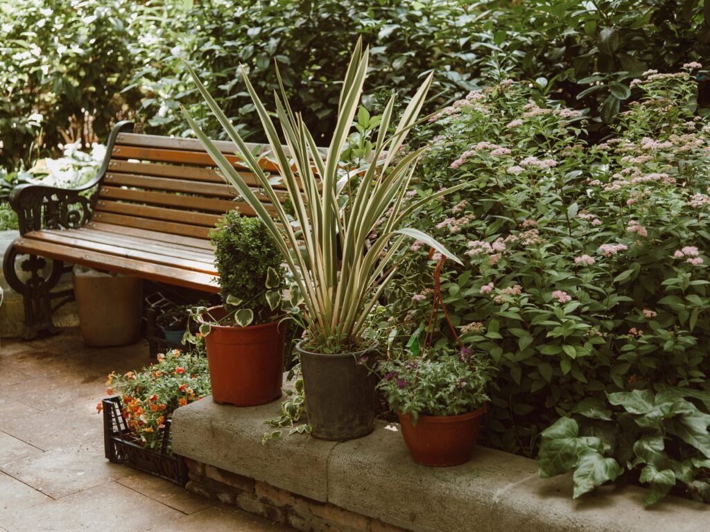 Image Credit : https://www.pexels.com/photo/potted-plants-in-garden-near-wooden-bench-8180453/